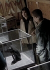 Bestandsnaam=Charmed-Online-dot-NL-BaywatchNights2x17-0353.jpg
Bestandsgrootte=113KiB
Afmetingen = 512x384
Datum toegevoegd = jul 19, 2016 Charmed-Online-dot-NL-BaywatchNights2x17-0353.jpg