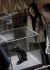 Charmed-Online-dot-NL-BaywatchNights2x17-0356.jpg