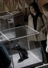 Charmed-Online-dot-NL-BaywatchNights2x17-0357.jpg