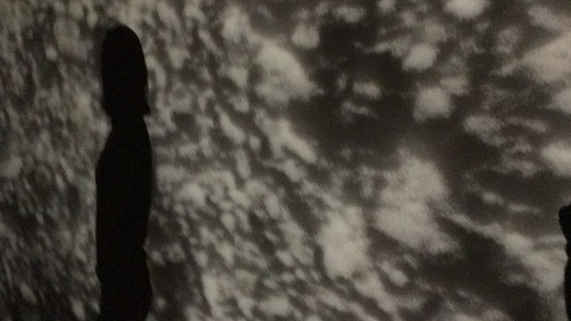 016.jpg