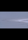 Bestandsnaam=005.jpg
Bestandsgrootte=20KiB
Afmetingen = 600x800
Datum toegevoegd = okt 15, 2016 005.jpg