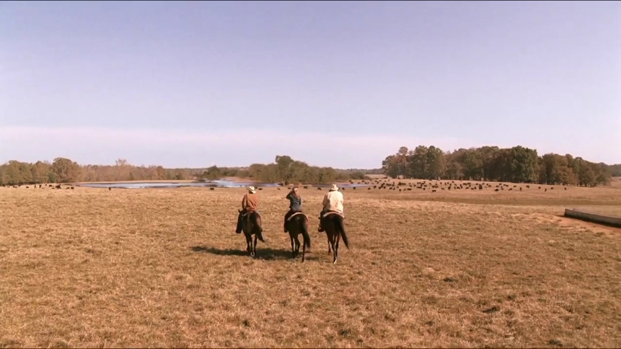 Charmed-Online-dot-net_TheUltimateGift5162.jpg Charmed-Online-dot-net_TheUltimateGift5162.jpg