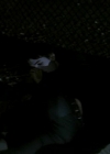 Bestandsnaam=Charmed-Online-dot-net_VampireClan4151.jpg
Bestandsgrootte=122KiB
Afmetingen = 900x506
Datum toegevoegd = mrt 11, 2015 Charmed-Online-dot-net_VampireClan4151.jpg