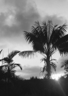 108.jpg
