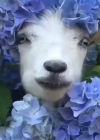 162.jpg
