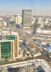 174.jpg