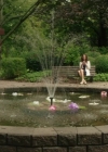 Charmed-Online-dot-nl_AVeryCountryWedding4176.jpg