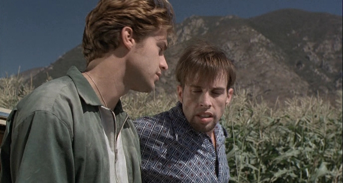 Charmed-Online-dot-net_ChildrenOfTheCornV-0803.jpg