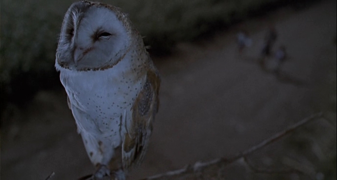 Charmed-Online-dot-net_ChildrenOfTheCornV-1153.jpg