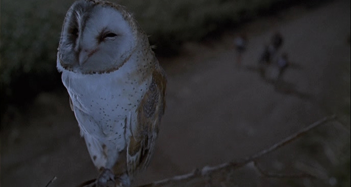 Charmed-Online-dot-net_ChildrenOfTheCornV-1154.jpg