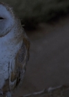 Bestandsnaam=Charmed-Online-dot-net_ChildrenOfTheCornV-1153.jpg
Bestandsgrootte=103KiB
Afmetingen = 688x368
Datum toegevoegd = jun 26, 2015 Charmed-Online-dot-net_ChildrenOfTheCornV-1153.jpg
