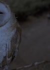 Bestandsnaam=Charmed-Online-dot-net_ChildrenOfTheCornV-1154.jpg
Bestandsgrootte=91KiB
Afmetingen = 688x368
Datum toegevoegd = jun 26, 2015 Charmed-Online-dot-net_ChildrenOfTheCornV-1154.jpg