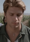 Charmed-Online-dot-net_ChildrenOfTheCornV-1917.jpg