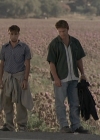 Bestandsnaam=Charmed-Online-dot-net_ChildrenOfTheCornV-2876.jpg
Bestandsgrootte=184KiB
Afmetingen = 688x368
Datum toegevoegd = jun 26, 2015 Charmed-Online-dot-net_ChildrenOfTheCornV-2876.jpg