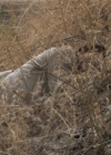 Charmed-Online-dot-net_LovesChristmasJourney-part2-0949.jpg