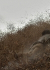 Charmed-Online-dot-net_LovesChristmasJourney-part2-0974.jpg