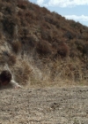 Charmed-Online-dot-net_LovesChristmasJourney-part2-0990.jpg