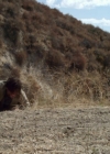 Charmed-Online-dot-net_LovesChristmasJourney-part2-0992.jpg