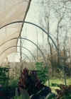 Charmed-Online-dot-NL-QueenSugar1x02-0046.jpg