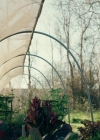 Charmed-Online-dot-NL-QueenSugar1x02-0049.jpg