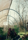Charmed-Online-dot-NL-QueenSugar1x02-0051.jpg