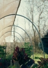 Charmed-Online-dot-NL-QueenSugar1x02-0053.jpg