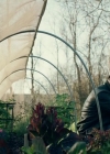 Charmed-Online-dot-NL-QueenSugar1x02-0054.jpg