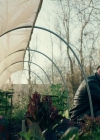 Charmed-Online-dot-NL-QueenSugar1x02-0055.jpg