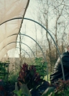 Charmed-Online-dot-NL-QueenSugar1x02-0058.jpg