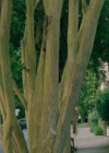 Bestandsnaam=Charmed-Online-dot-nl_QueenSugar4x08-1156.jpg
Bestandsgrootte=196KiB
Afmetingen = 720x404
Datum toegevoegd = nov 10, 2020 Charmed-Online-dot-nl_QueenSugar4x08-1156.jpg