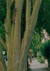 Bestandsnaam=Charmed-Online-dot-nl_QueenSugar4x08-1157.jpg
Bestandsgrootte=206KiB
Afmetingen = 720x404
Datum toegevoegd = nov 10, 2020 Charmed-Online-dot-nl_QueenSugar4x08-1157.jpg