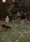 Charmed-Online_dot_nl-PicketFences1x09-3686.jpg