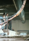 Charmed-Online-dot-nl_Bait2588.jpg