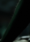 Bestandsnaam=Charmed-Online-dot_nl-Hunters1x02-0175.jpg
Bestandsgrootte=582KiB
Afmetingen = 1920x1080
Datum toegevoegd = apr 22, 2016 Charmed-Online-dot_nl-Hunters1x02-0175.jpg