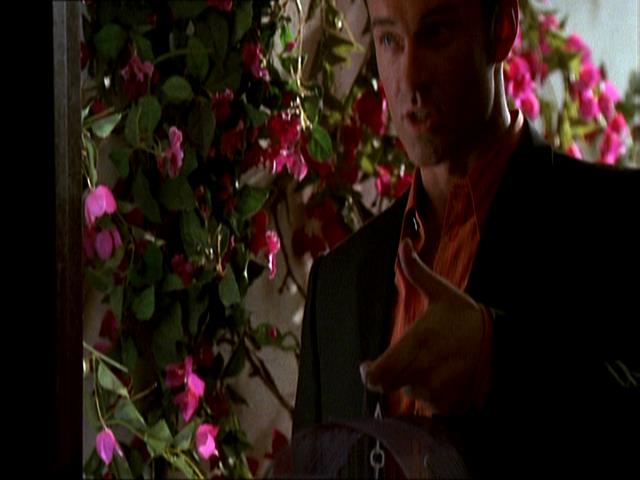 Charmed-Online_dot_net-NipTuck1x10_1x11_1x12-3105.jpg