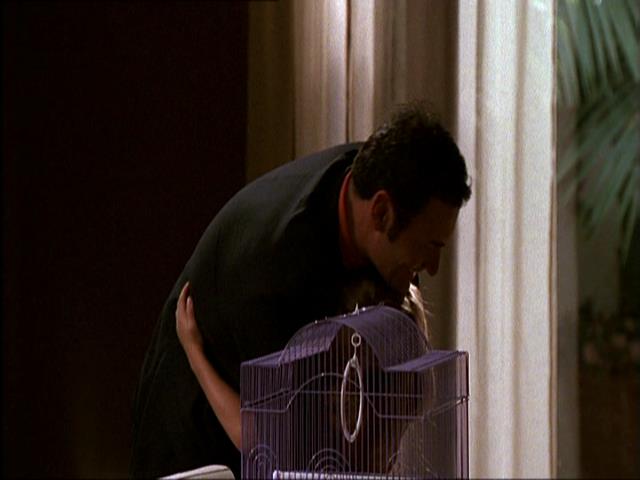 Charmed-Online_dot_net-NipTuck1x10_1x11_1x12-3133.jpg