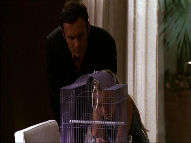 Charmed-Online_dot_net-NipTuck1x10_1x11_1x12-3147.jpg