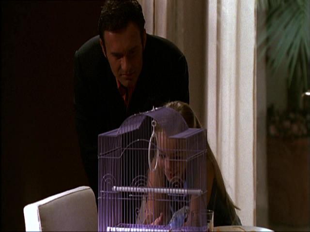 Charmed-Online_dot_net-NipTuck1x10_1x11_1x12-3148.jpg