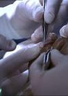 Charmed-Online-dot-NL-NipTuck2x03-0637.jpg