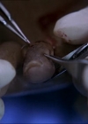 Charmed-Online-dot-NL-NipTuck2x03-0639.jpg