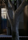 Charmed-Online-dot-NL-NipTuck2x14-0203.jpg