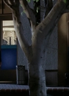 Charmed-Online-dot-NL-NipTuck2x14-0205.jpg