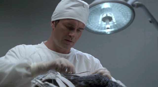 Charmed-Online-dot-NL-NipTuck3x02-0687.jpg Charmed-Online-dot-NL-NipTuck3x02-0687.jpg