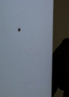 Charmed-Online-dot-NL-NipTuck3x09-2160.jpg