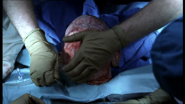 Charmed-Online-dot-NL-NipTuck4x10-1982.jpg