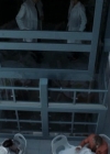 Charmed-Online-dot-NL-NipTuck4x11-1692.jpg