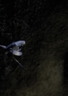 Charmed-Online-dot-NL-NipTuck6x15-2331.jpg
