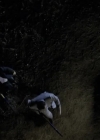 Charmed-Online-dot-NL-NipTuck6x15-2332.jpg