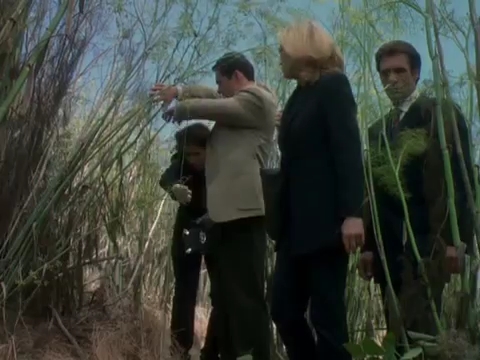 Charmed-Online-nl_Profiler1x03-1665.jpg Charmed-Online-nl_Profiler1x03-1665.jpg