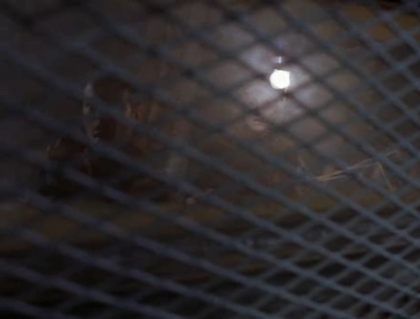 Charmed-Online-nl_Profiler2x09-1330.jpg Charmed-Online-nl_Profiler2x09-1330.jpg